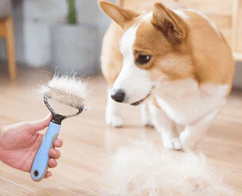 HairPet ™ - Pet Grooming Comb (Free Today)